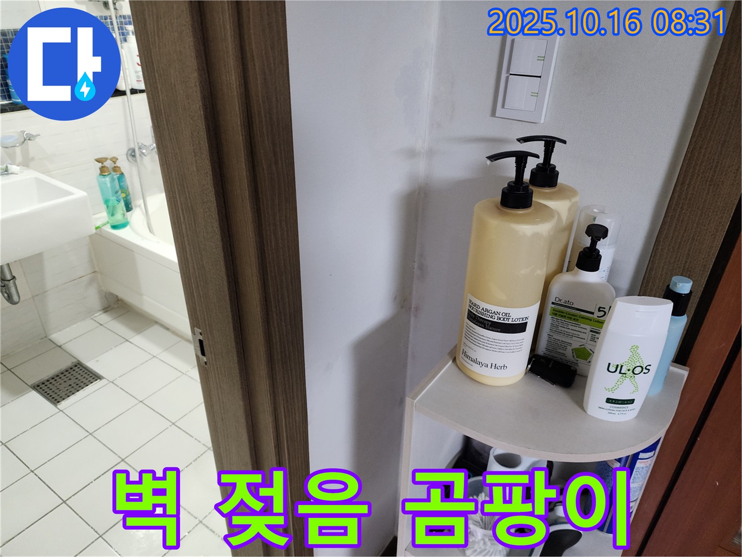 양주 남면 경신리 욕실 누수 - 젖은 벽지와 곰팡이, 누수 의심
