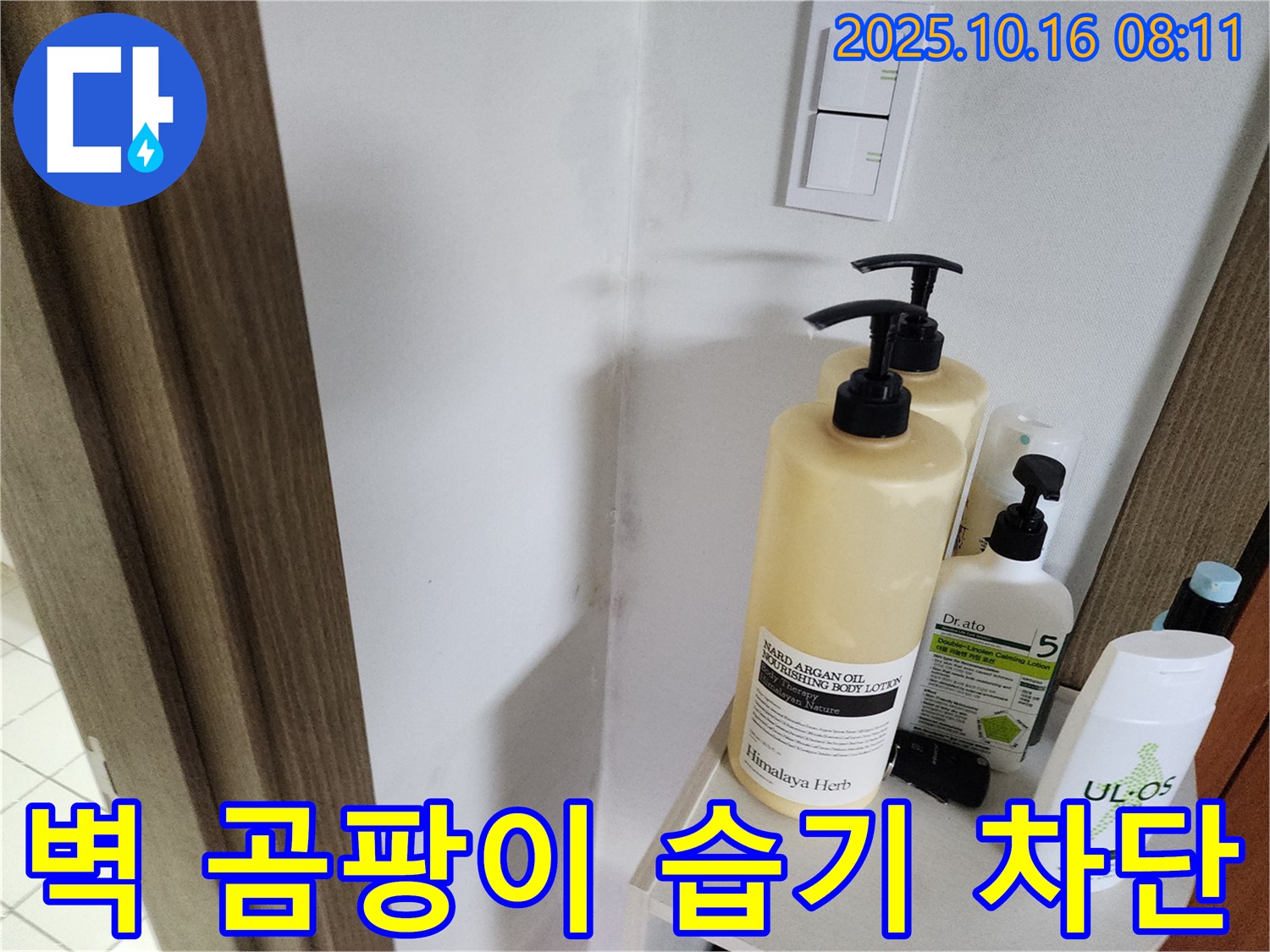 양주 남면 경신리 욕실 - 벽 곰팡이 - 곰팡이 제거와 함께 완벽한 습기 차단