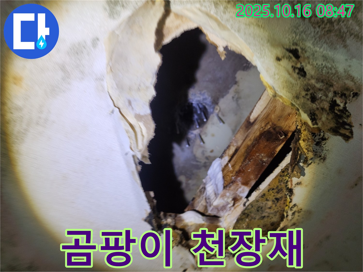 양주 누수탐지 - 천장 속 곰팡이와 내려앉은 천장재 - 건물 붕괴 위험, 긴급 점검이 필요합니다