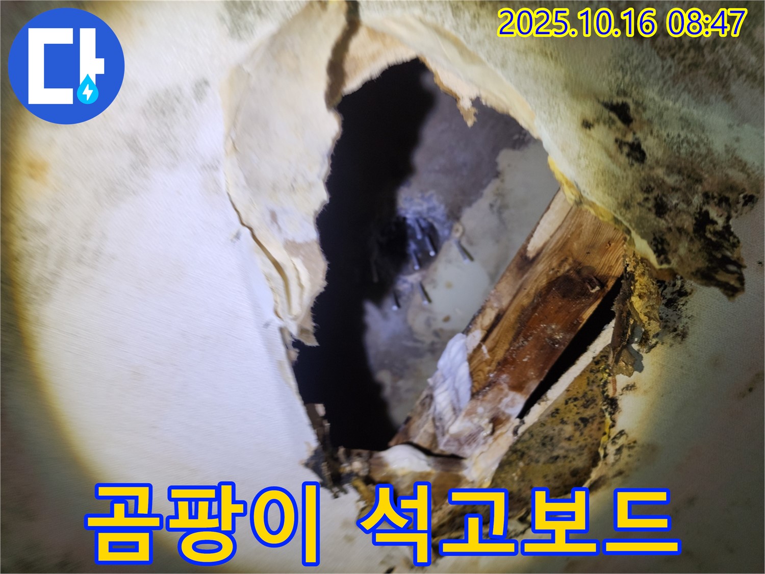 양주시 남면 경신리 누수 - 천장 속 곰팡이와 내려앉은 석고보드 - 심각한 누수 피해, 긴급 보수가 필요합니다.