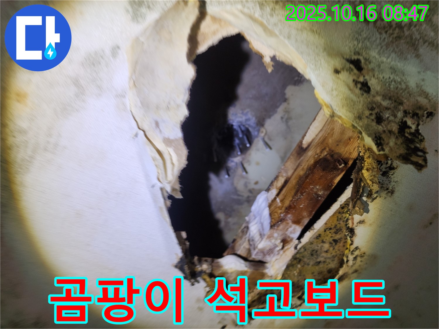 양주시 남면 경신리 누수 - 천장 속 곰팡이와 무너진 석고보드 - 긴급 보수가 필요한 상황입니다