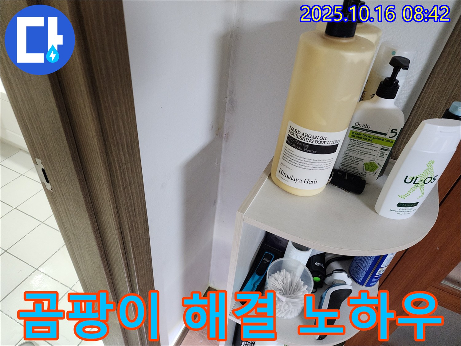 양주시 남면 경신리 욕실 곰팡이 - 누수탐지 전문가의 완벽 해결 노하우, 꼼꼼하게 시공!