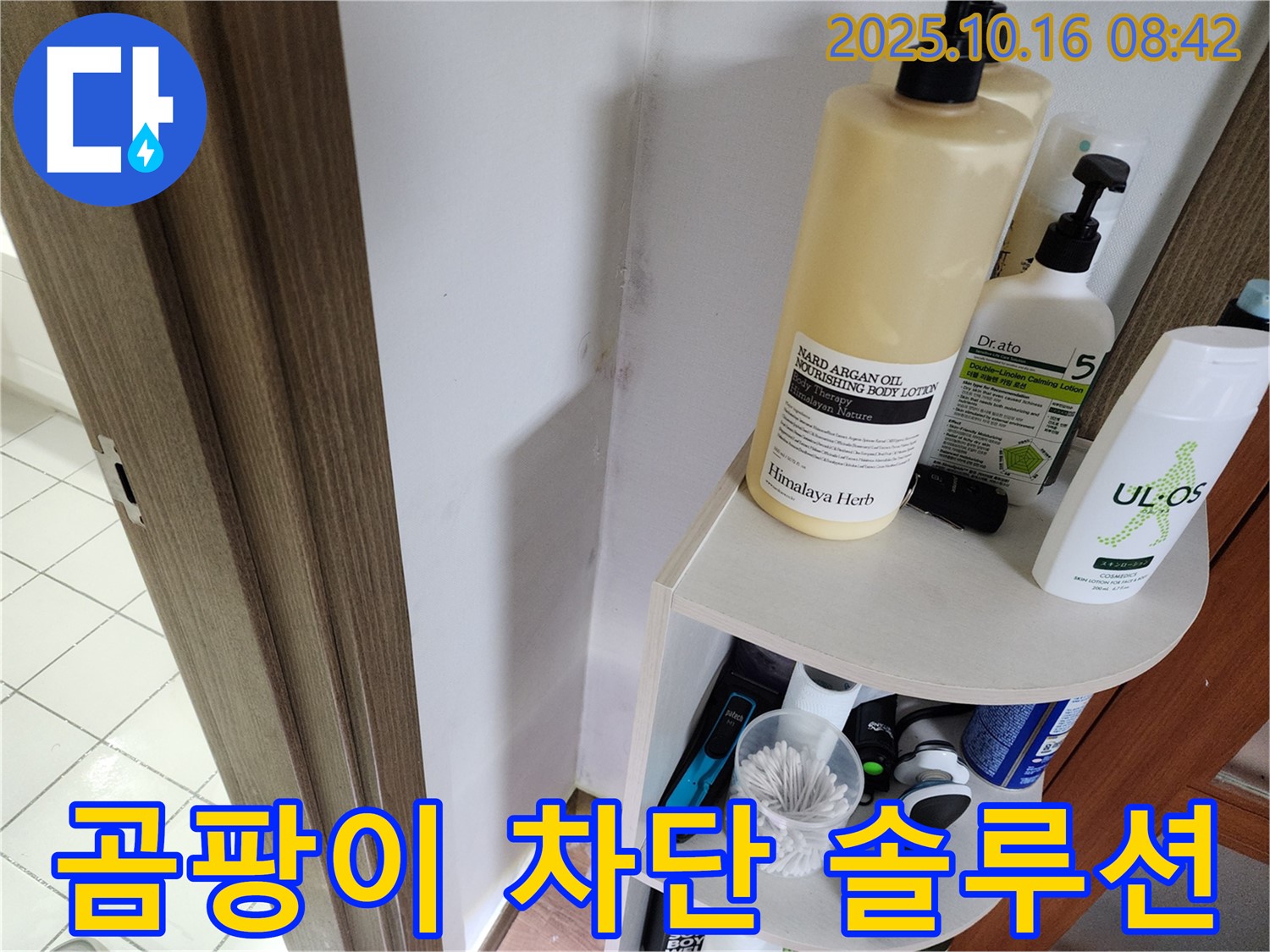 양주시 남면 경신리 욕실 곰팡이 - 완벽 차단 솔루션으로 곰팡이 없는 깨끗한 욕실!