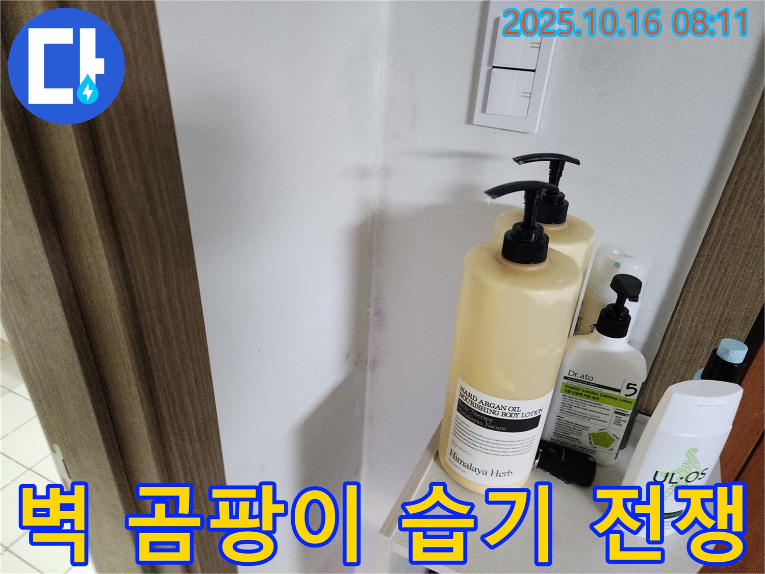 양주시 남면 경신리 욕실 - 벽 곰팡이 - 습기와의 전쟁을 선포하고 누수 해결