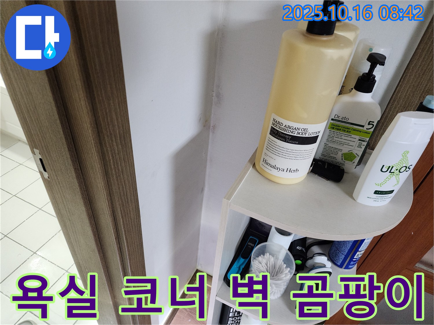양주시 남면 경신리 욕실 코너 벽면의 곰팡이 - 누수탐지 전문 업체에서 원인을 진단하고 해결하는 과정