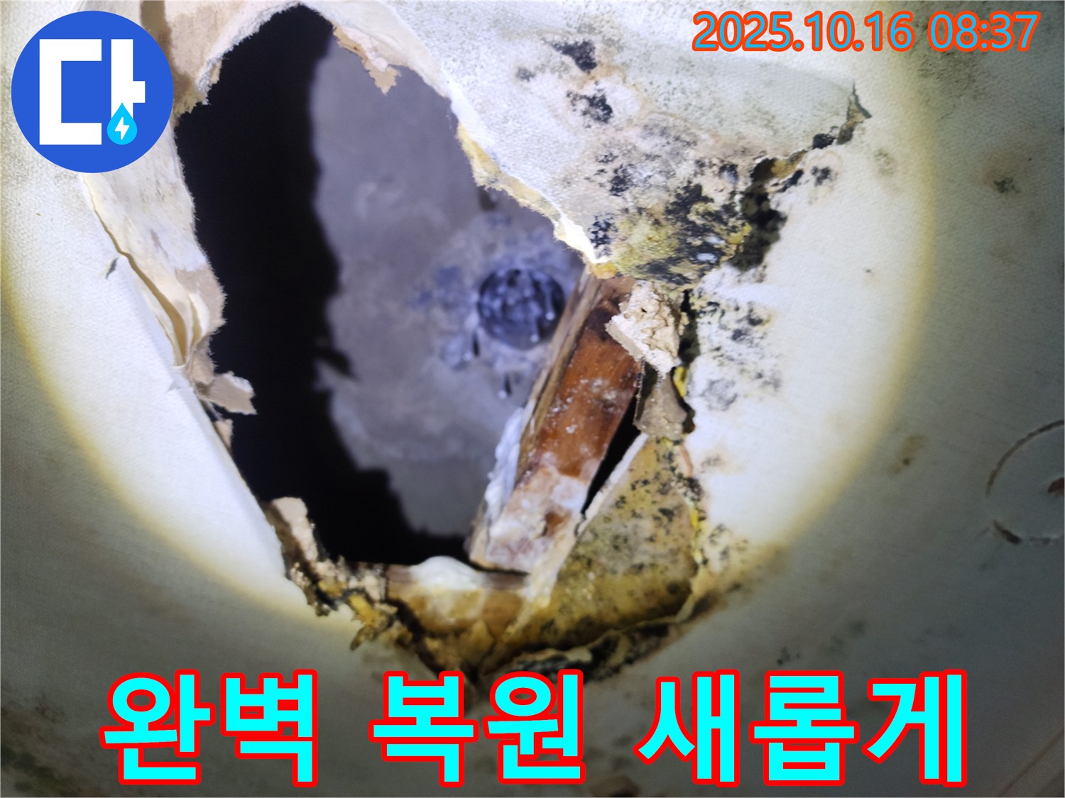 양주시 남면 경신리 주택 천장 - 곰팡이 천장, 누수 완벽 복원으로 새롭게 변신합니다!