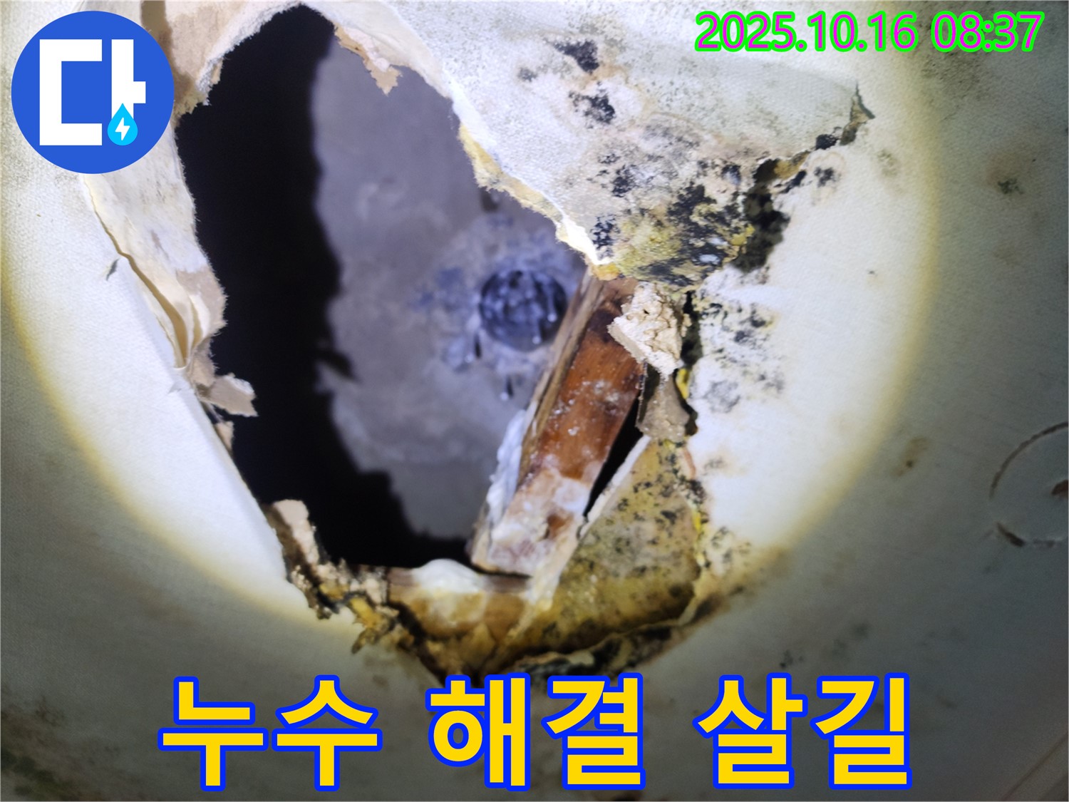 양주시 남면 경신리 주택 천장 - 곰팡이 천장, 누수 해결만이 살길입니다!