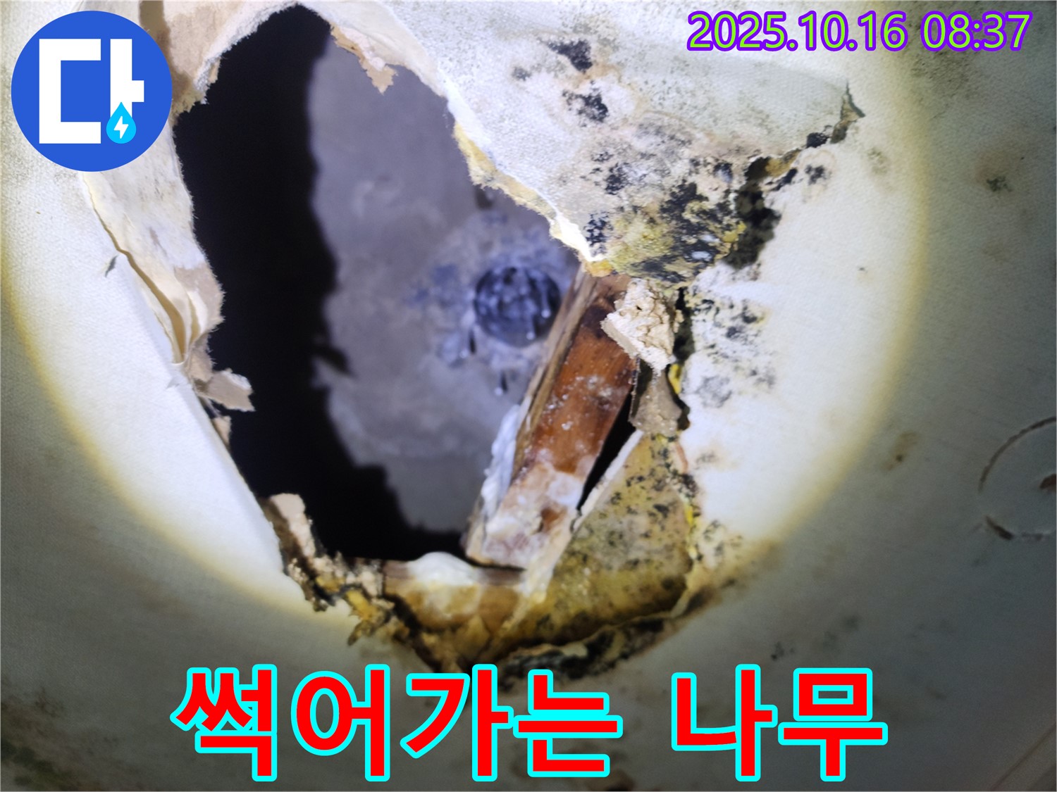양주시 남면 경신리 주택 천장 - 곰팡이 천장 속 썩어가는 나무 - 긴급 보수가 필요한 상황입니다.