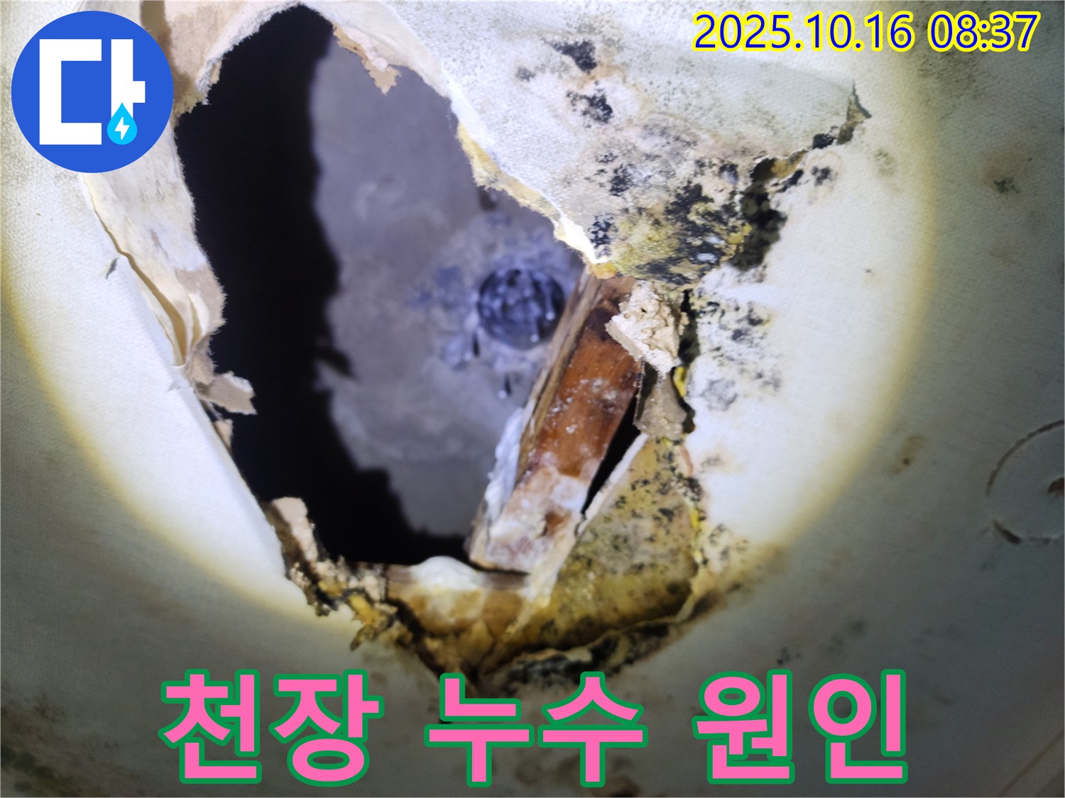 양주시 남면 경신리에서 발견된 심각한 천장 누수 - 누수 원인을 파악하기 위해 천장을 개방한 모습입니다.