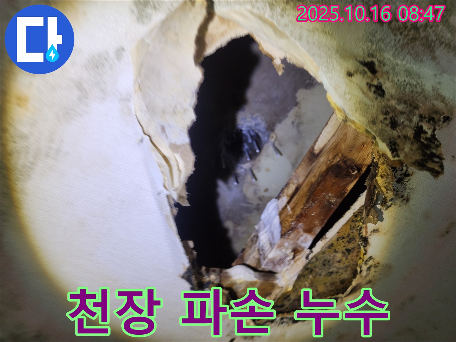 양주시 남면 - 심각한 천장 파손 - 즉시 전문가의 누수 진단이 필요한 상황