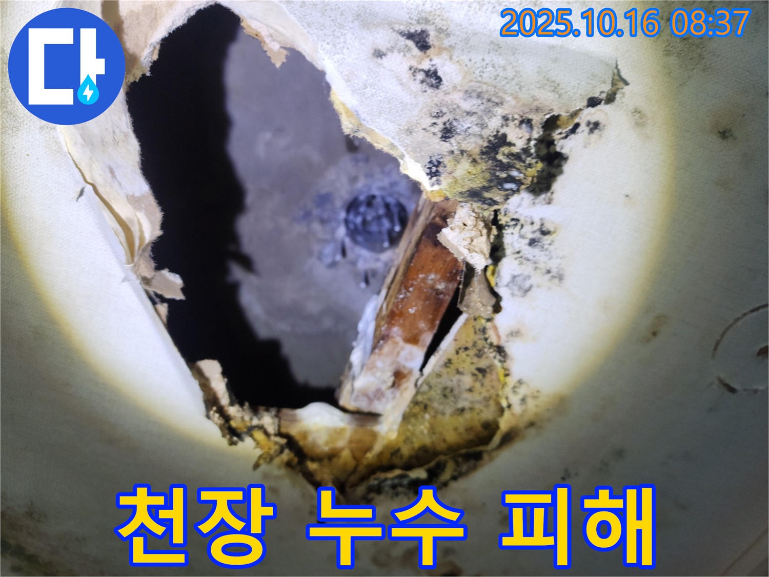 양주시 남면의 주택 천장 누수 피해 현장 - 젖은 천장과 곰팡이로 인해 누수의 심각성을 보여줍니다.