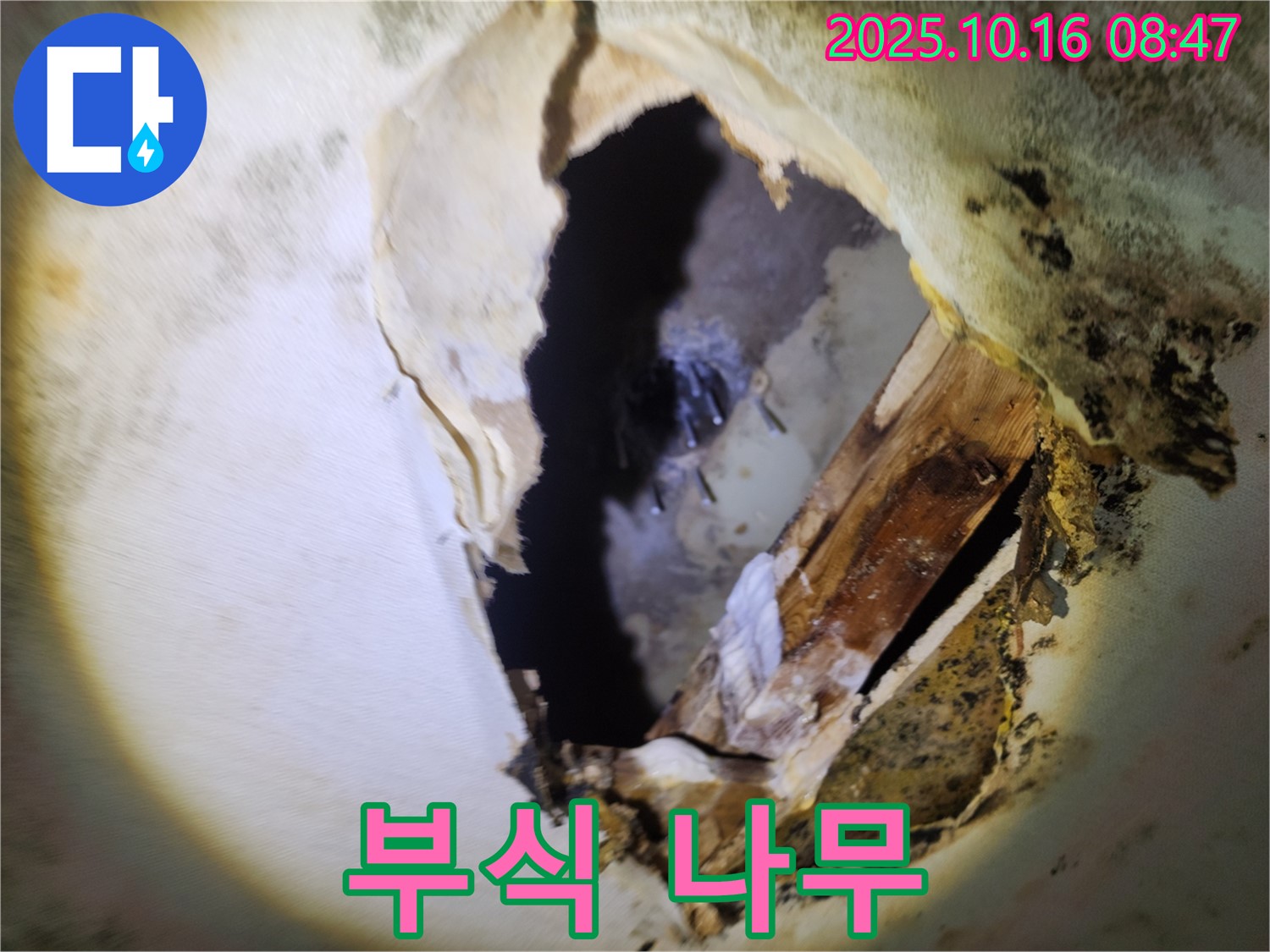 양주시 누수 - 천장 속 곰팡이와 부식된 나무 - 건물 안전을 위협하는 심각한 누수, 긴급 보수가 필요합니다.