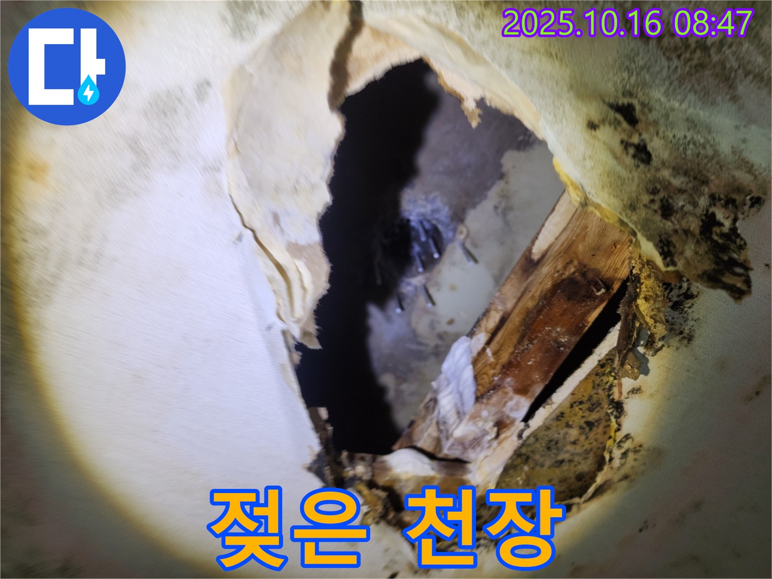 양주시 누수탐지 - 곰팡이 냄새와 젖은 천장 - 숨겨진 누수를 의심하고 정밀 검사 및 완벽 해결을 약속드립니다.