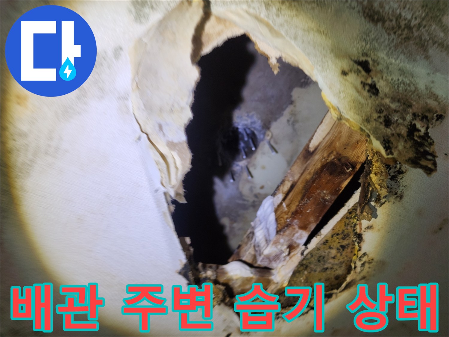 천장 내부의 젖은 목재와 오염된 마감재 사진
