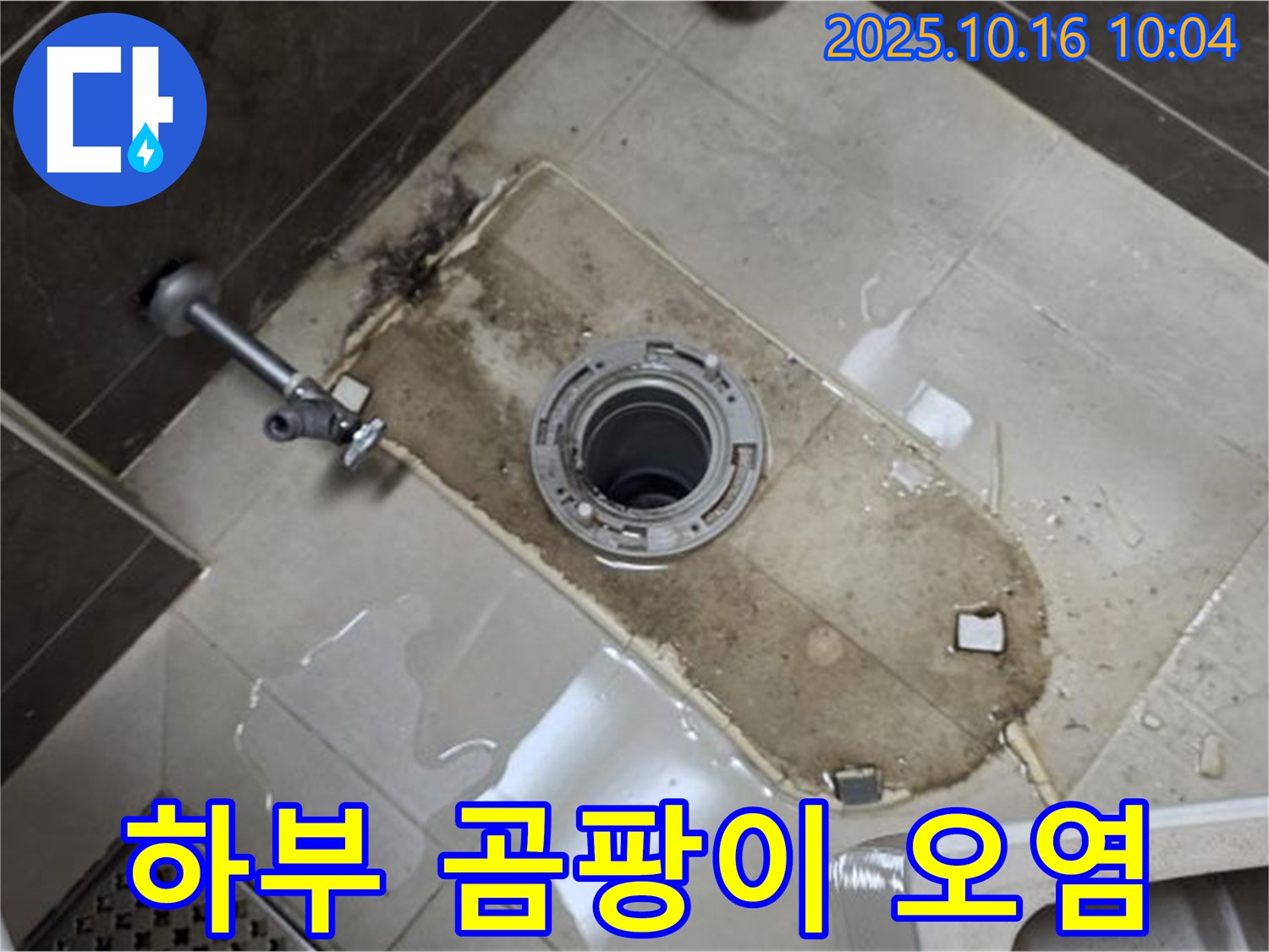 양주 옥정동 율정마을 13단지 아파트 변기 누수 - 하부 곰팡이와 오염으로 인한 누수 - 깨끗하게 청소하고 곰팡이 제거