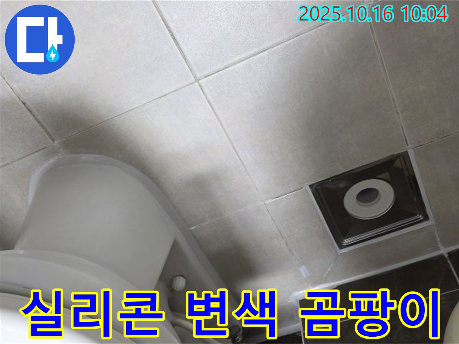 양주 율정마을 화장실 누수 - 변기 주변 타일 틈새 실리콘 변색 및 미세 곰팡이로 누수 의심