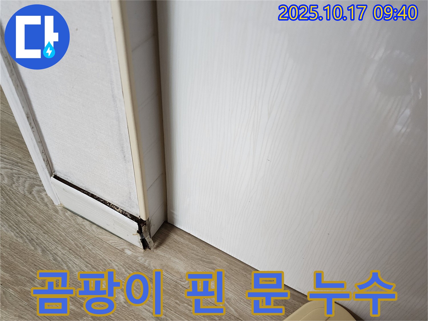 남면 누수 문제 해결 - 곰팡이 핀 문의 누수 원인을 찾아 완벽하게 해결하는 과정