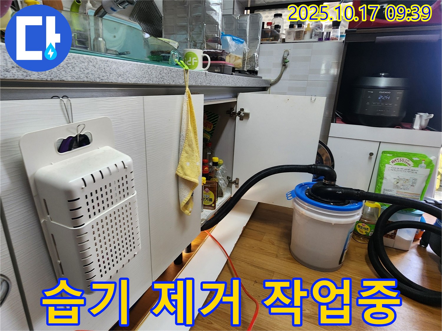 양주시 남면 한산리 싱크대 밑 습기 제거 - 전문 장비로 습기를 꼼꼼하게 제거하는 모습