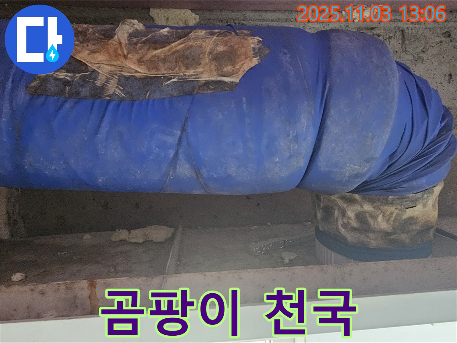 서울 누수 현장 - 낡은 파란 보온재, 곰팡이의 천국이 되어버린 배관의 모습입니다.