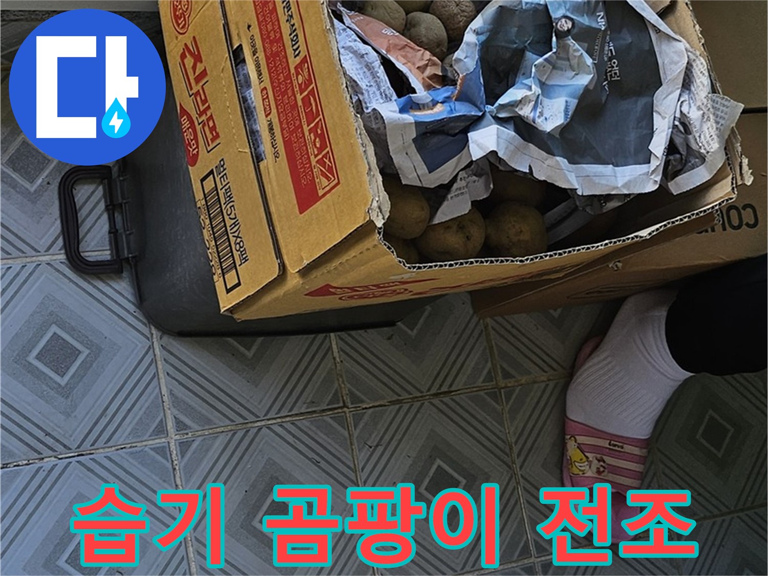 신월1동 엘리시안 A동 누수 현장 - 감자 박스 주변 습기는 곰팡이 폭탄의 전조일 수 있습니다 - 즉시 점검하세요.