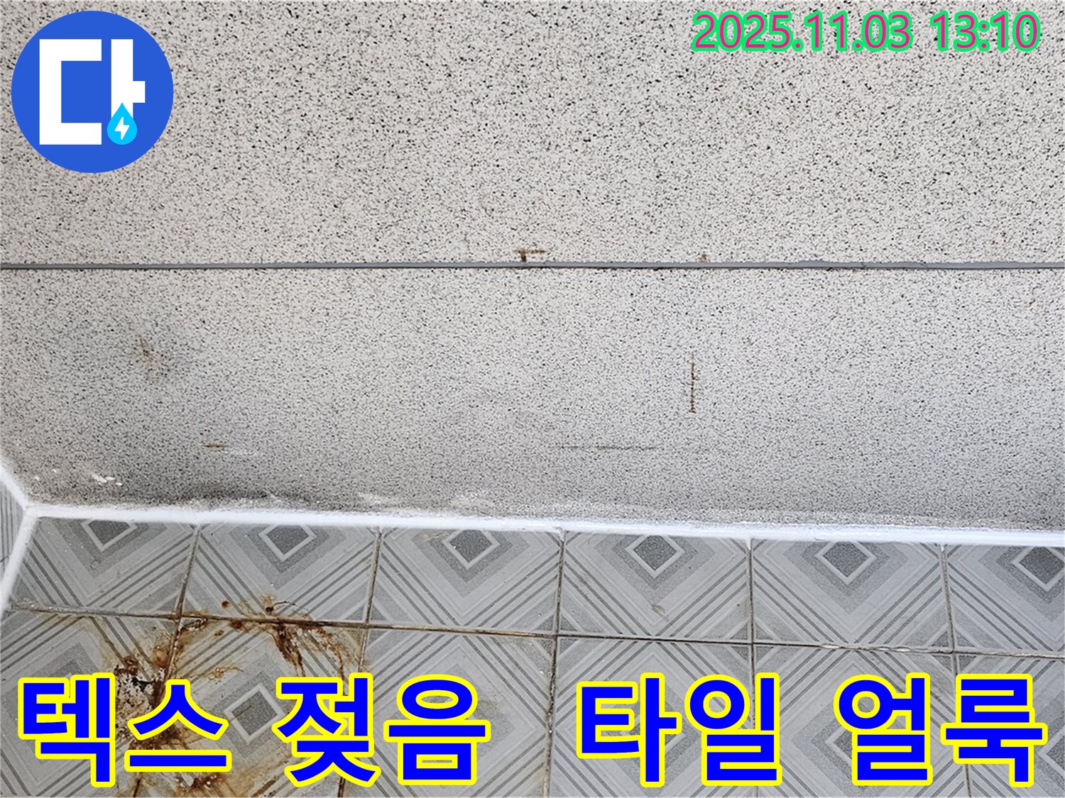 신월동 누수 - 천장 텍스 젖음과 타일 얼룩, 누수 긴급 점검 진행 중 - 양천구 누수 전문.