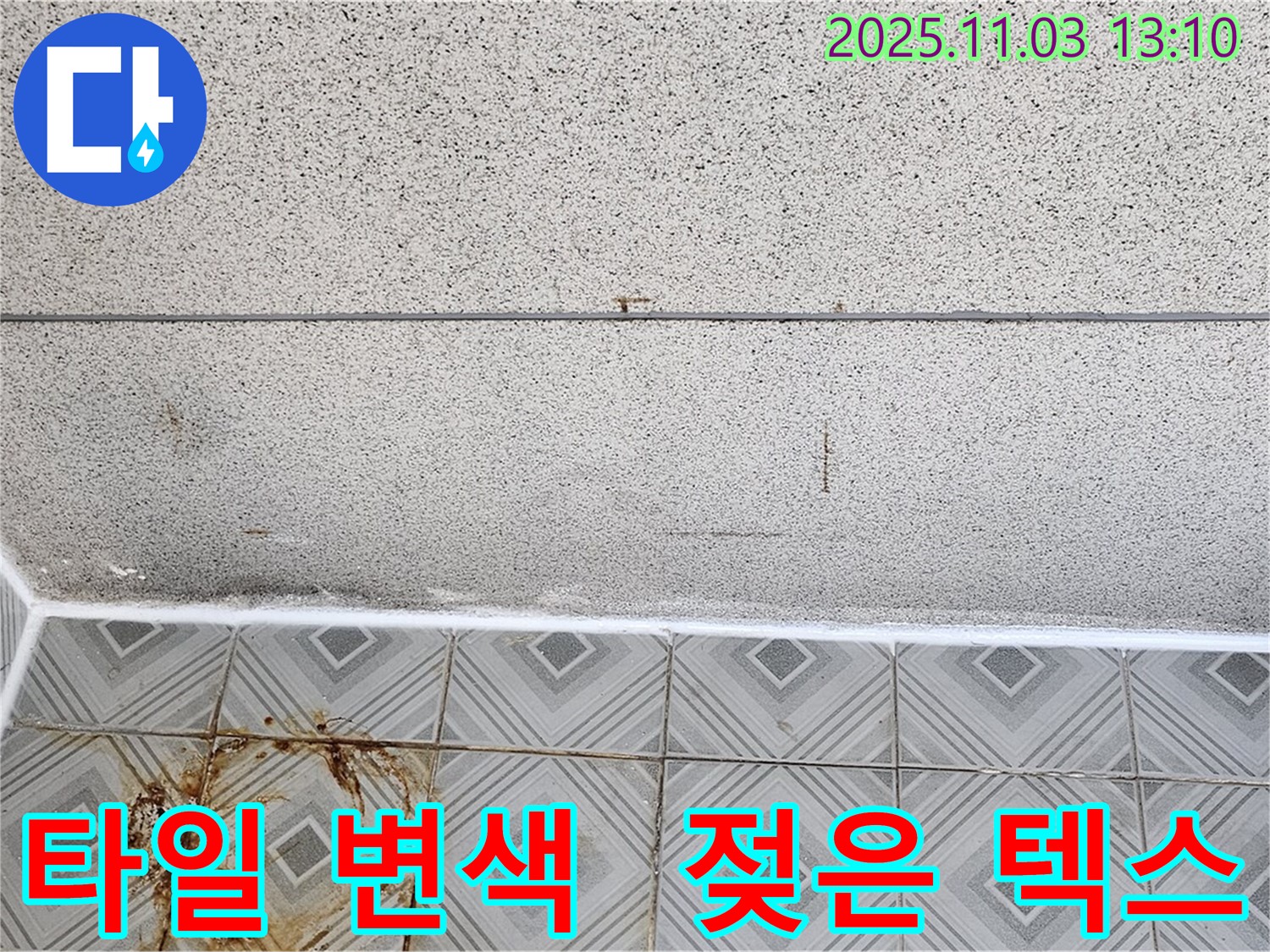 신월동 누수 - 타일 변색과 젖은 천장 텍스, 누수 원인 정밀 분석 진행 중 - 양천구 누수 전문.