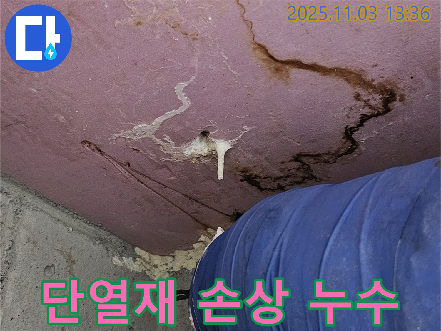 신월동 누수 현장 - 벽면 단열재 손상과 누수 의심 부위, 정확한 누수 탐지 및 진단