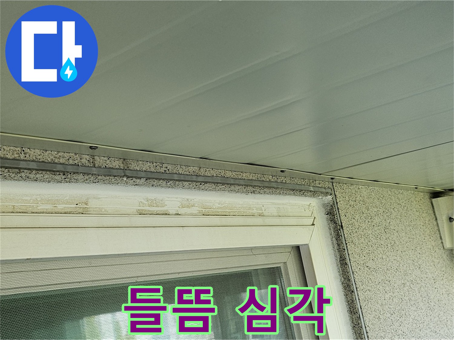 신월동 빗물 누수 현장 - 양천구 누수탐지 전문가가 창틀 상부 백시멘트 들뜸 상태를 확인하는 모습입니다.