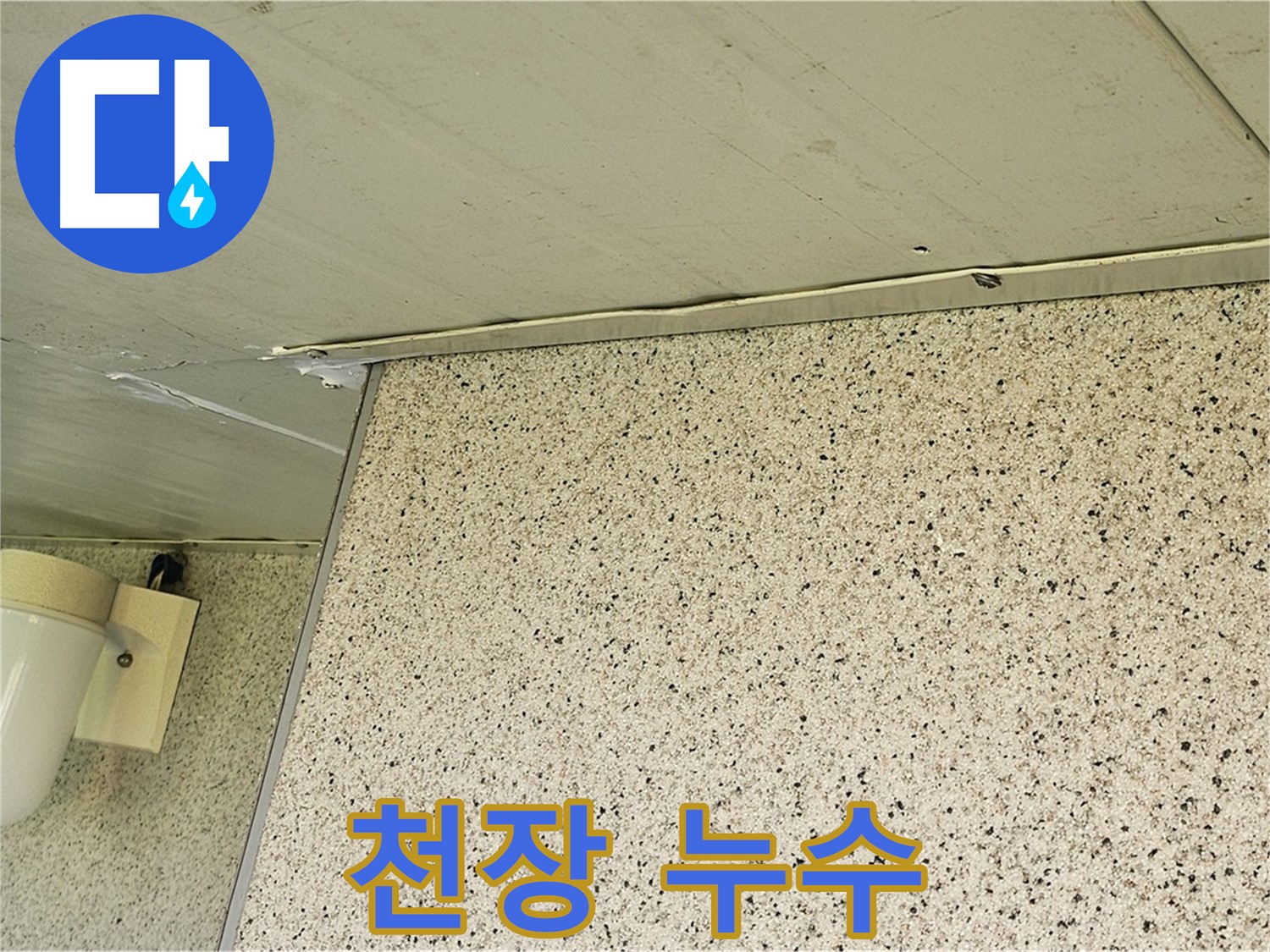 신월동 엘리시안 아파트 누수 해결 - 양천구 누수탐지 전문 업체의 꼼꼼한 시공