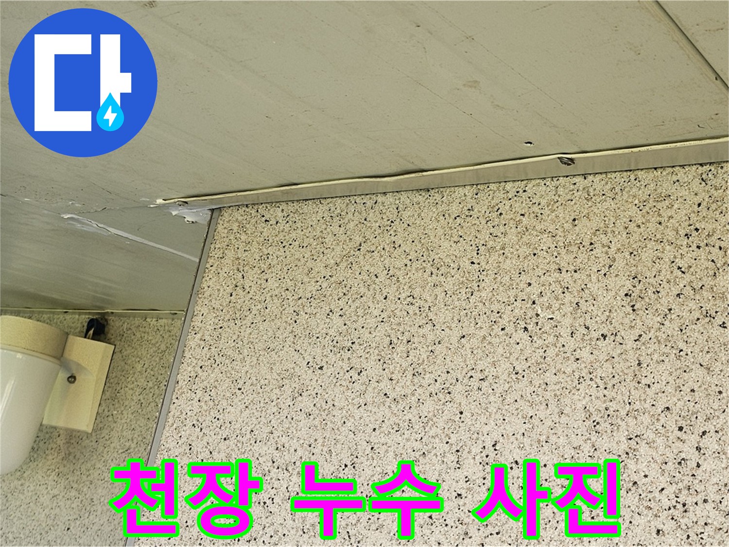 신월동 엘리시안 아파트 천장 누수 해결 과정 - 누수 탐지 전문가의 꼼꼼한 시공