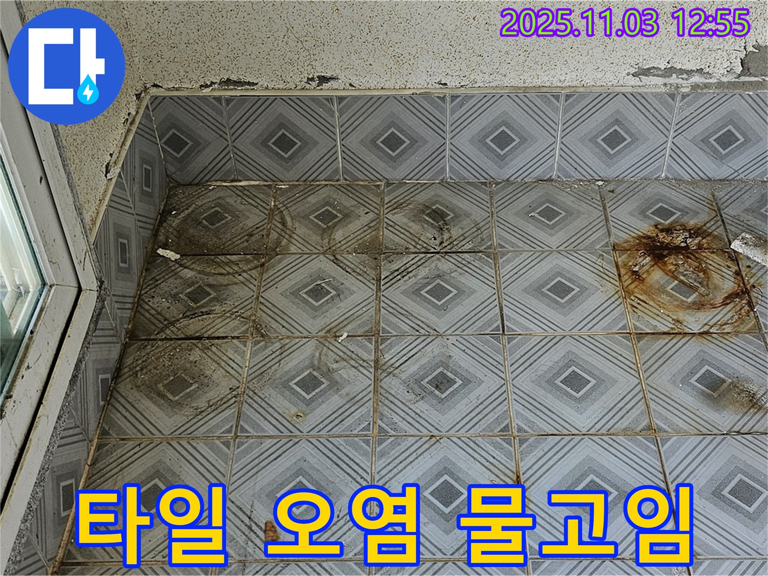 신월동 타일 바닥 누수 현장 - 심각한 오염과 물고임은 누수의 명백한 신호 - 즉각적인 조치가 필요합니다.