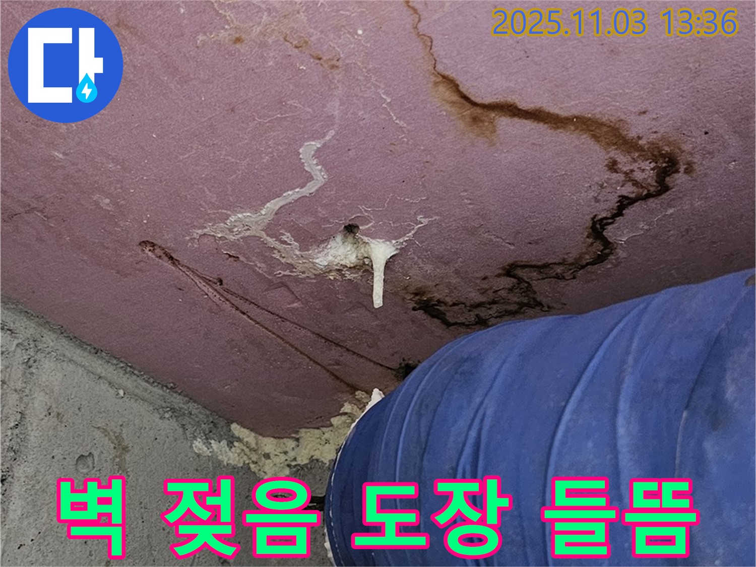 신월동에서 발생한 누수로 인한 벽 젖음과 도장 들뜸 현상 - 긴급 점검 및 초기 대응