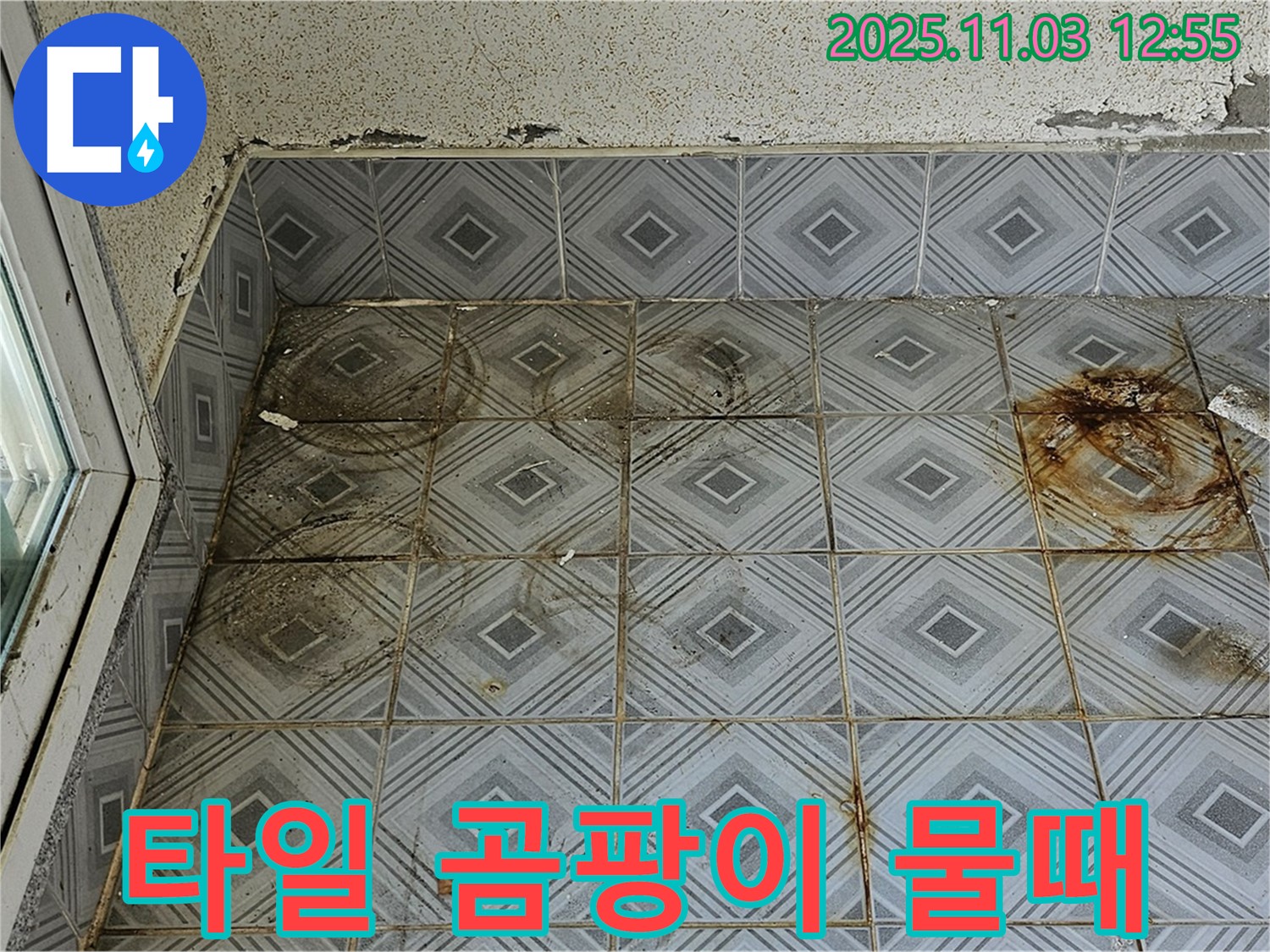 양천구 누수탐지 현장 - 타일 틈새 곰팡이와 물때는 습한 환경과 누수의 복합적인 증거 - 정밀 탐지가 필요합니다.