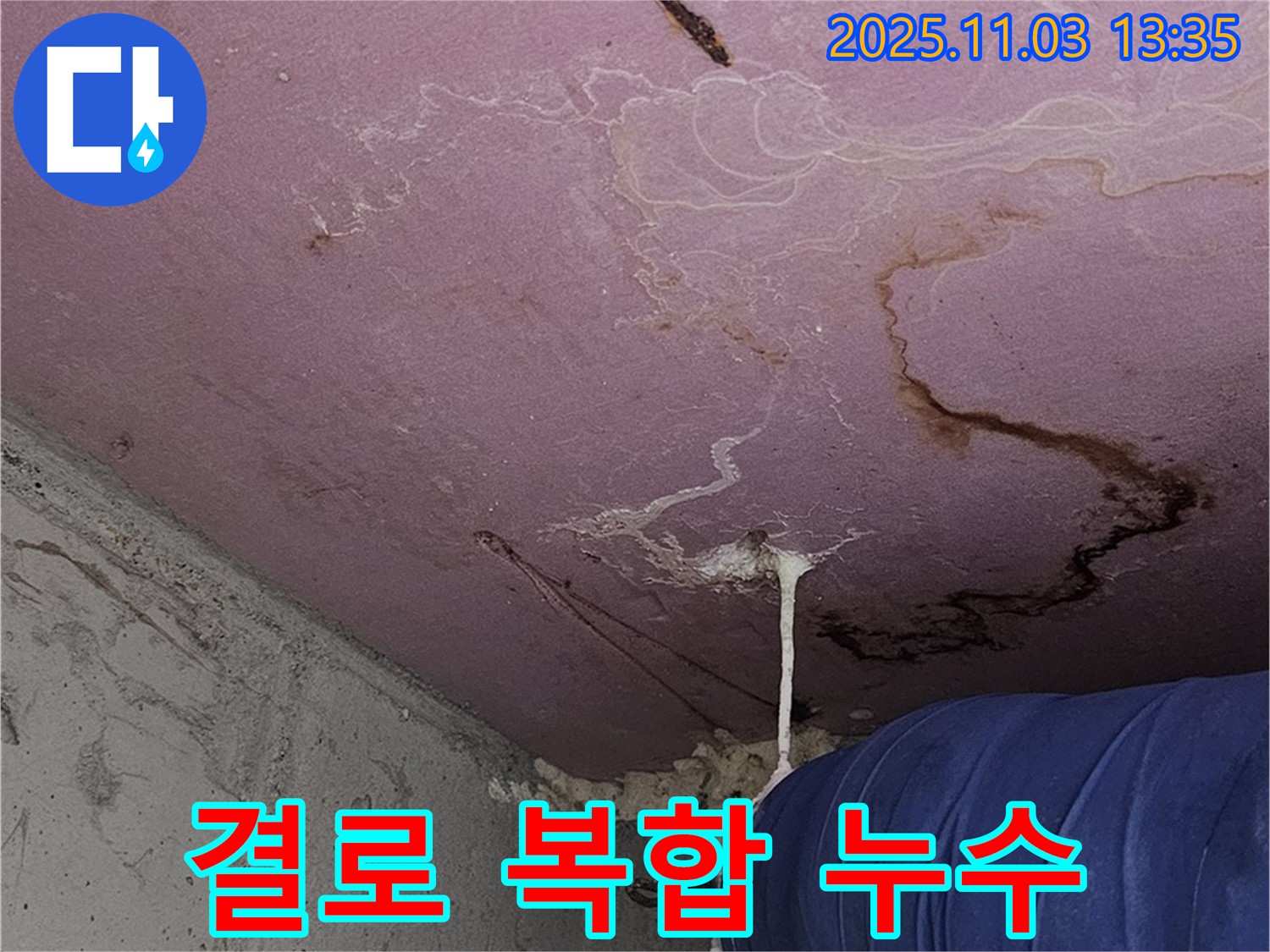 양천구 신월동 누수 현장 - 결로와 누수가 복합적으로 발생한 문제 해결 과정입니다.
