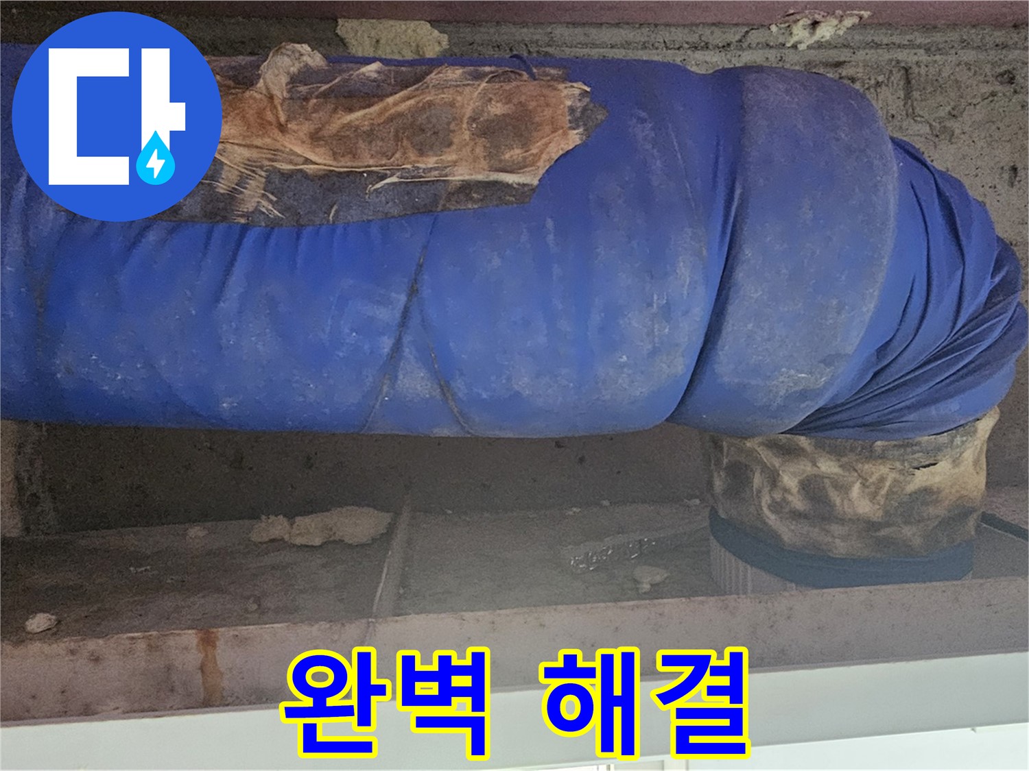 양천구 엘리시안 누수 - 배관 덮개 문제 완벽 해결 완료!