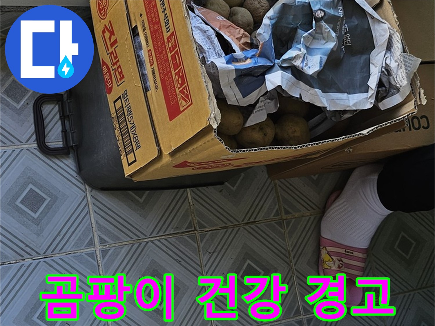 양천구 오목로 엘리시안 누수 현장 - 감자 박스 주변 곰팡이는 건강에 적신호가 켜졌음을 의미합니다 - 즉시 전문가에게 문의하세요.