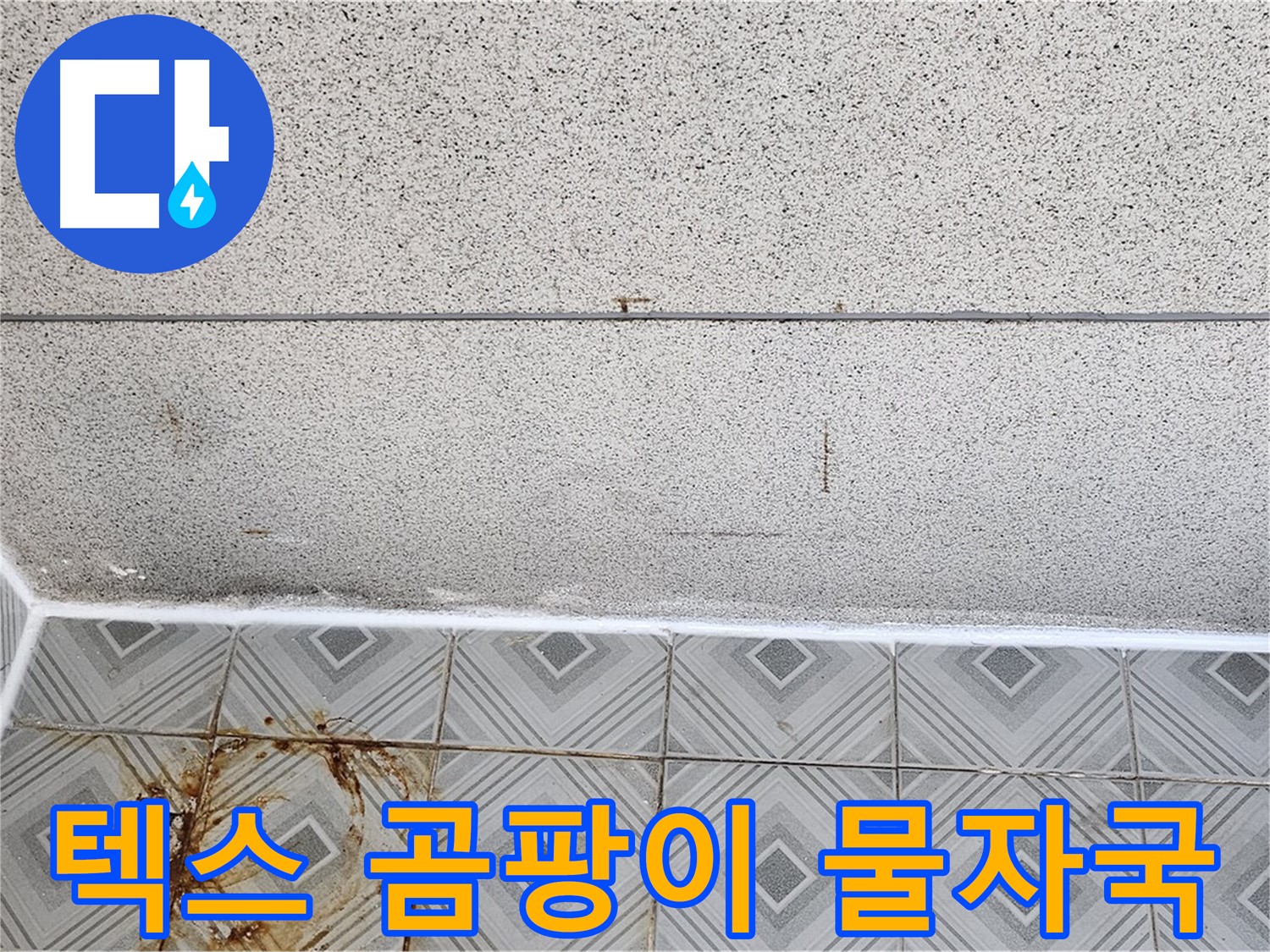 양천구 텍스 곰팡이 - 타일 물자국 - 숨겨진 누수 탐지