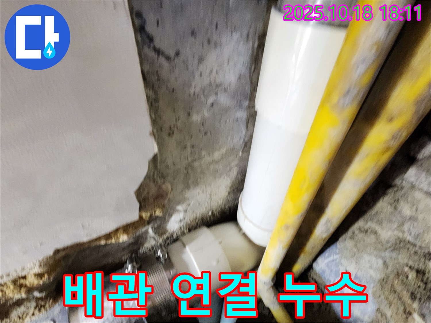 양주시 장흥면 교현리 누수 - 배관 연결 부위에서 누수가 발생한 부분을 자세히 살펴보고 있습니다.