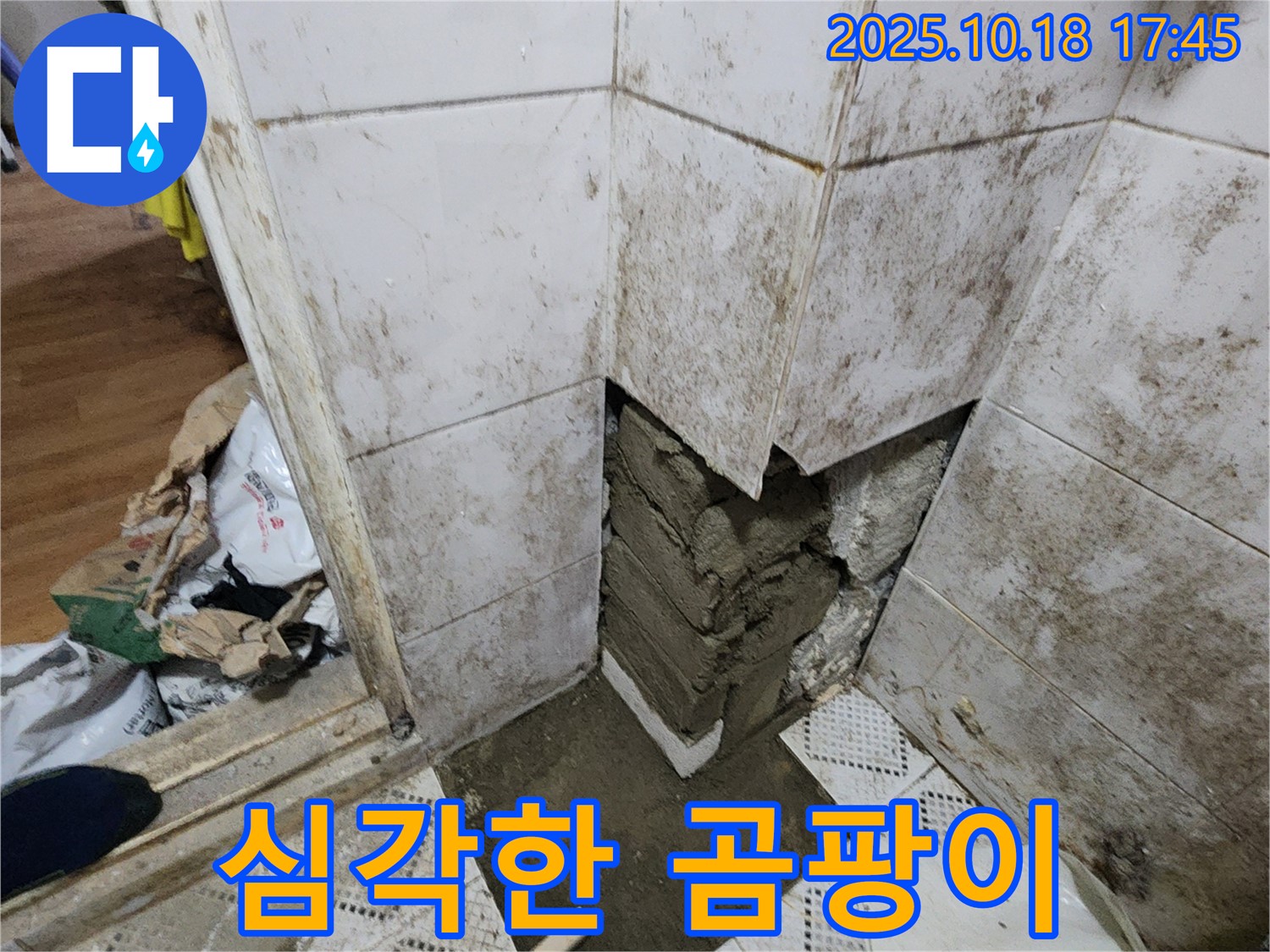 양주시 장흥면 교현리 누수 - 심각한 곰팡이와 손상된 타일