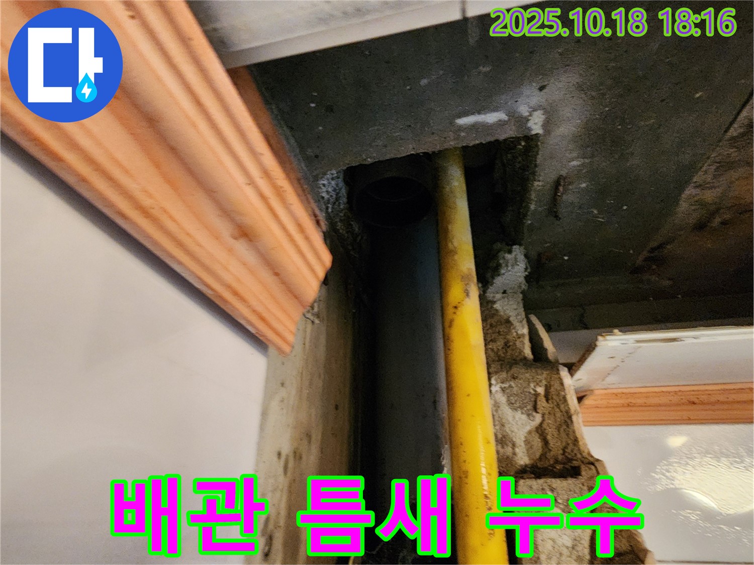 양주시 장흥면 교현리 누수 현장 - 노후 배관 틈새에서 발생한 누수를 보여주는 사진입니다 - 신속하고 정확하게 해결!