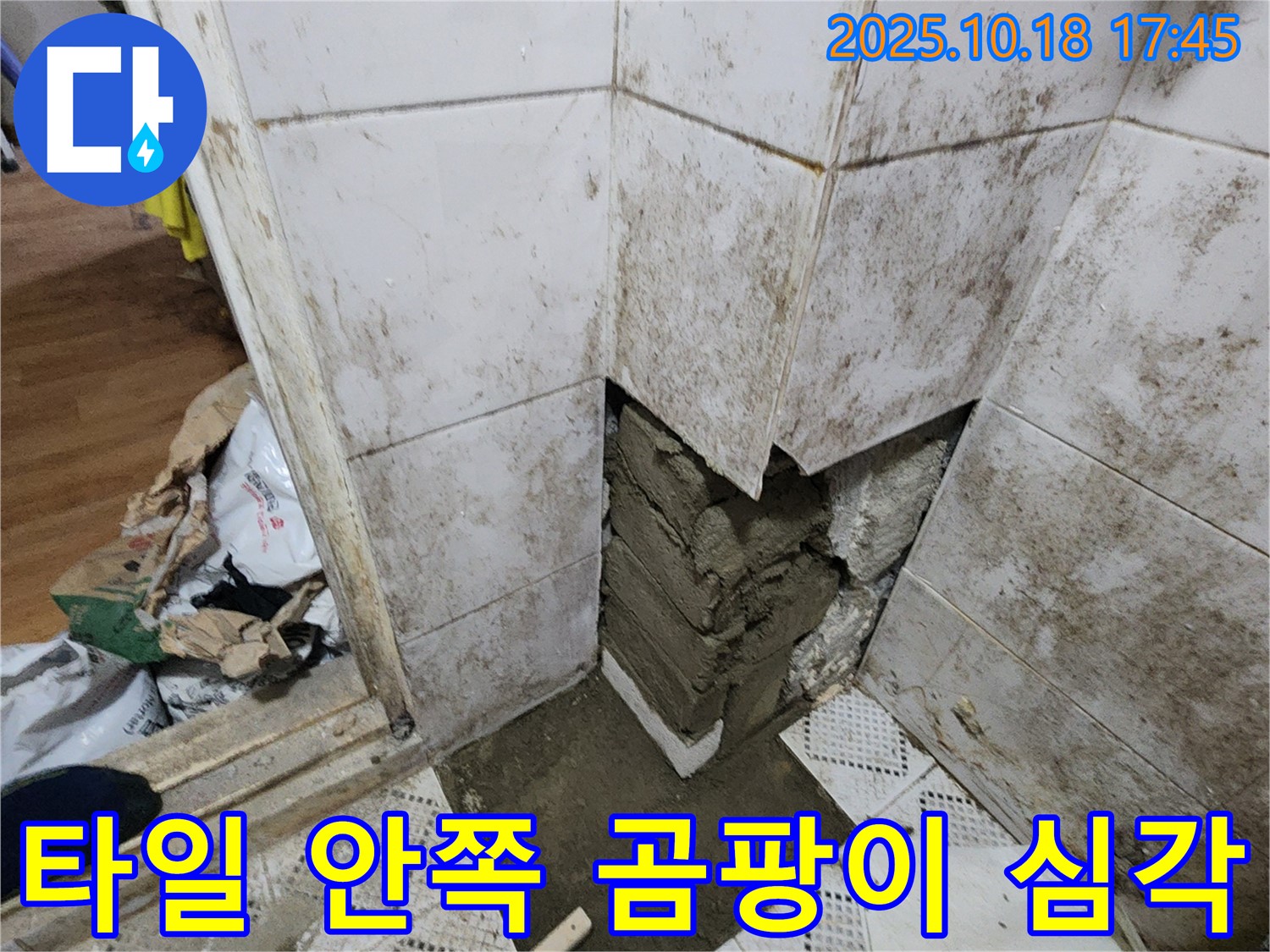 양주시 장흥면 교현리 누수 현장 - 타일 안쪽 습기와 곰팡이 번식