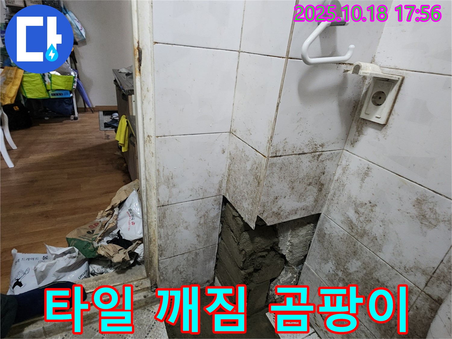양주시 장흥면 누수 - 타일 깨짐과 곰팡이, 욕실 전체 누수 공사