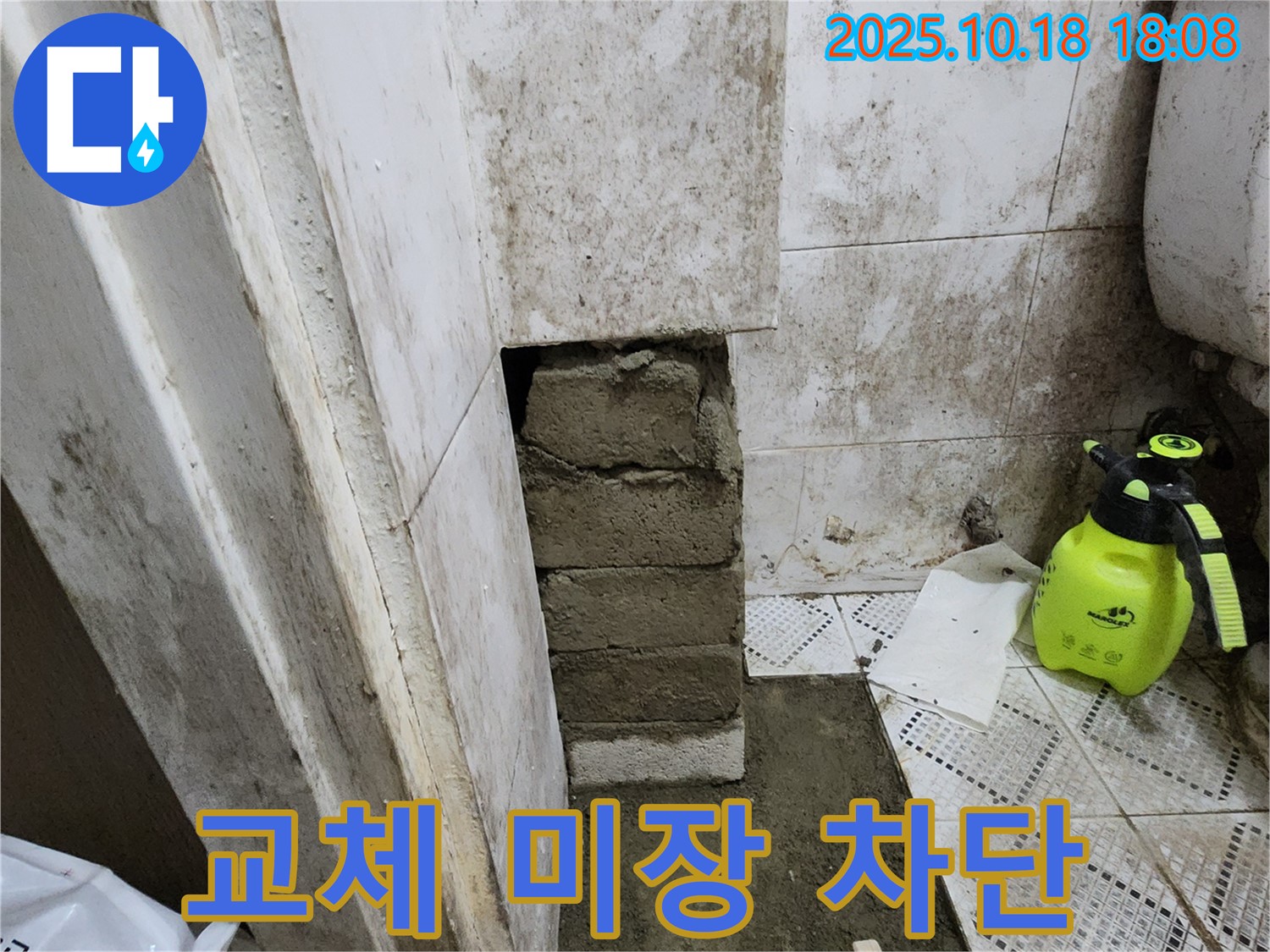 양주시 장흥면 욕실 벽 하부 곰팡이 - 벽돌 교체 후 미장으로 곰팡이 재발 완벽 차단!
