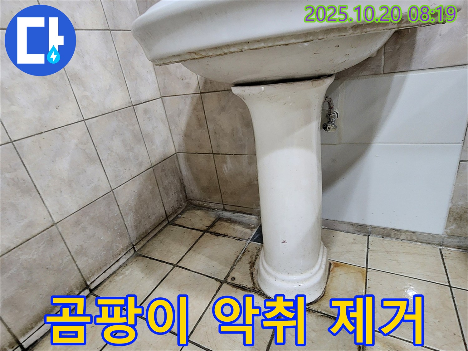 양주시 장흥면 석현리 세면대 하부 - 세면대 하부의 곰팡이와 악취를 완전 제거하는 모습입니다.