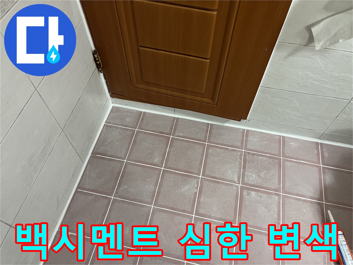 금천구 독산동 형제맨션빌 욕실 - 문 하단 타일 틈새 백시멘트의 심한 변색과 곰팡이 확인