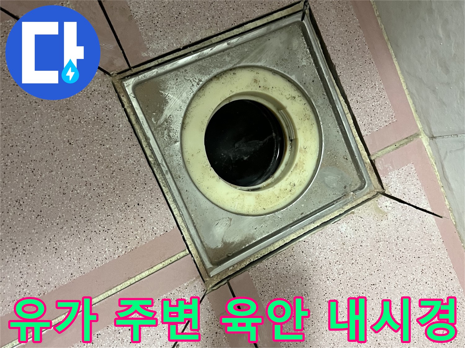 금천구 독산동 형제빌 유가 주변 육안 및 내시경 점검 - 종합 누수 진단