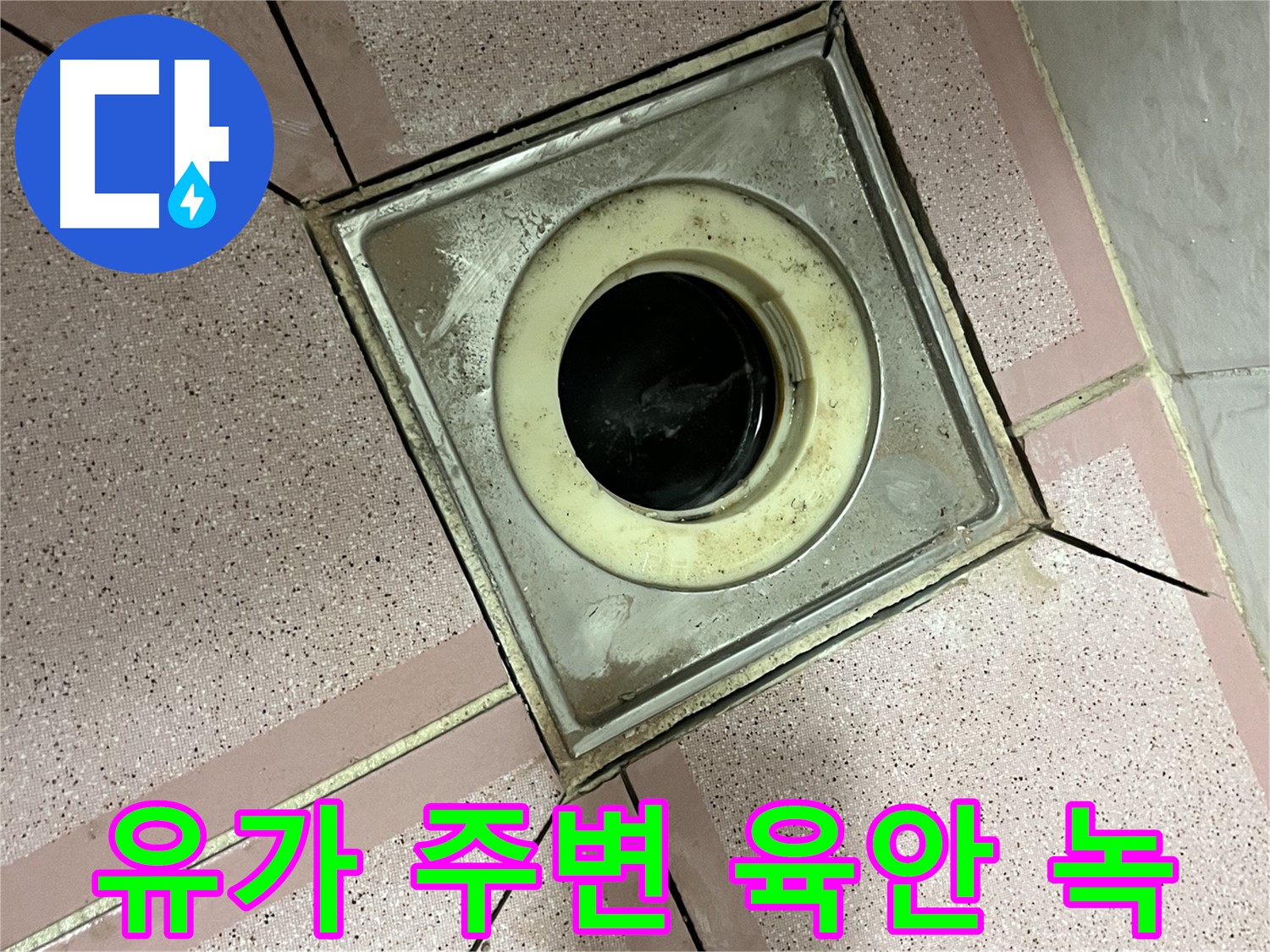 금천구 독산동 형제빌 유가 주변 육안 및 녹 상태 점검 - 종합 누수 진단