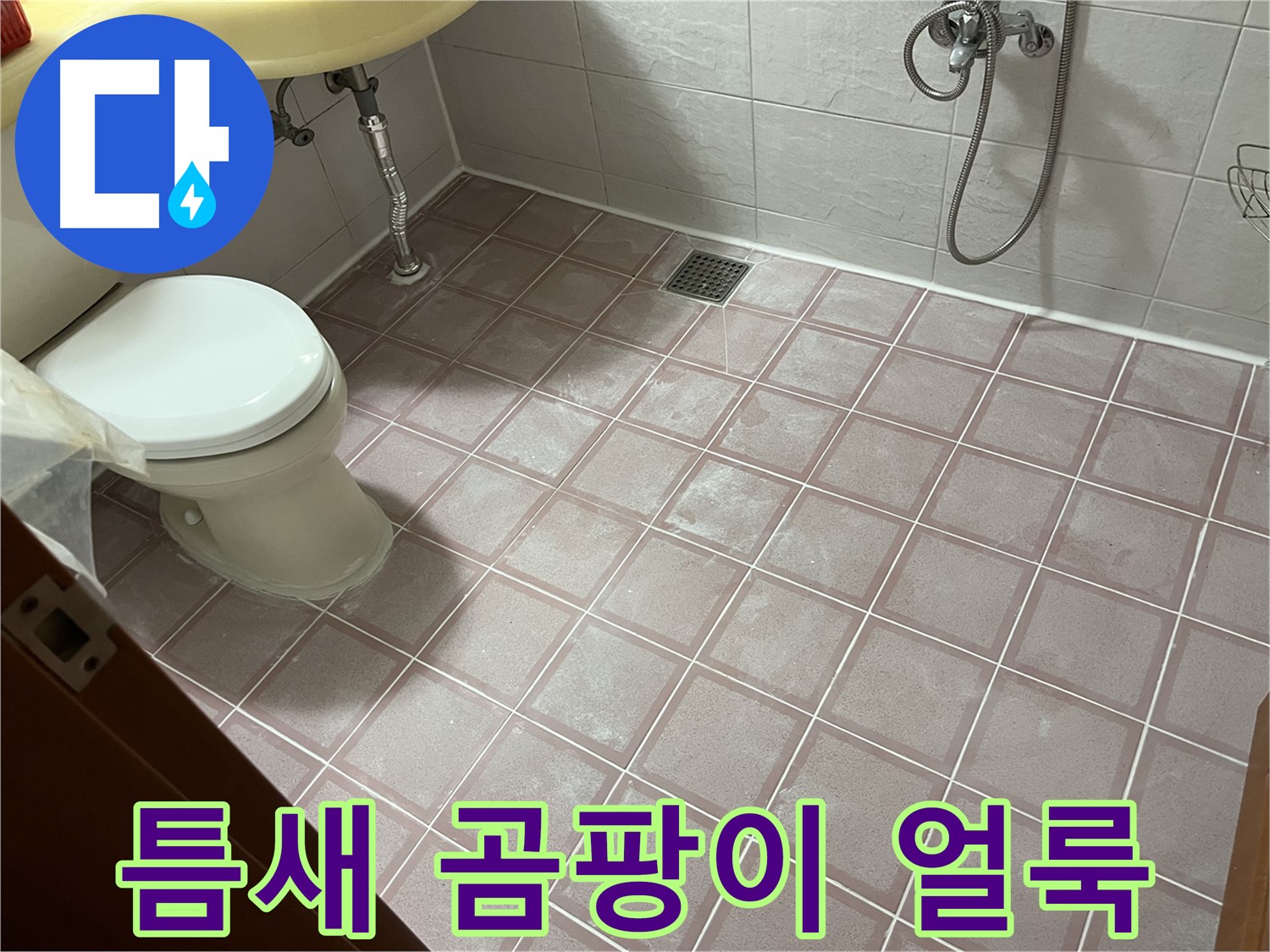 금천구 독산동 형제빌 - 틈새 곰팡이 얼룩, 곰팡이 - 습기