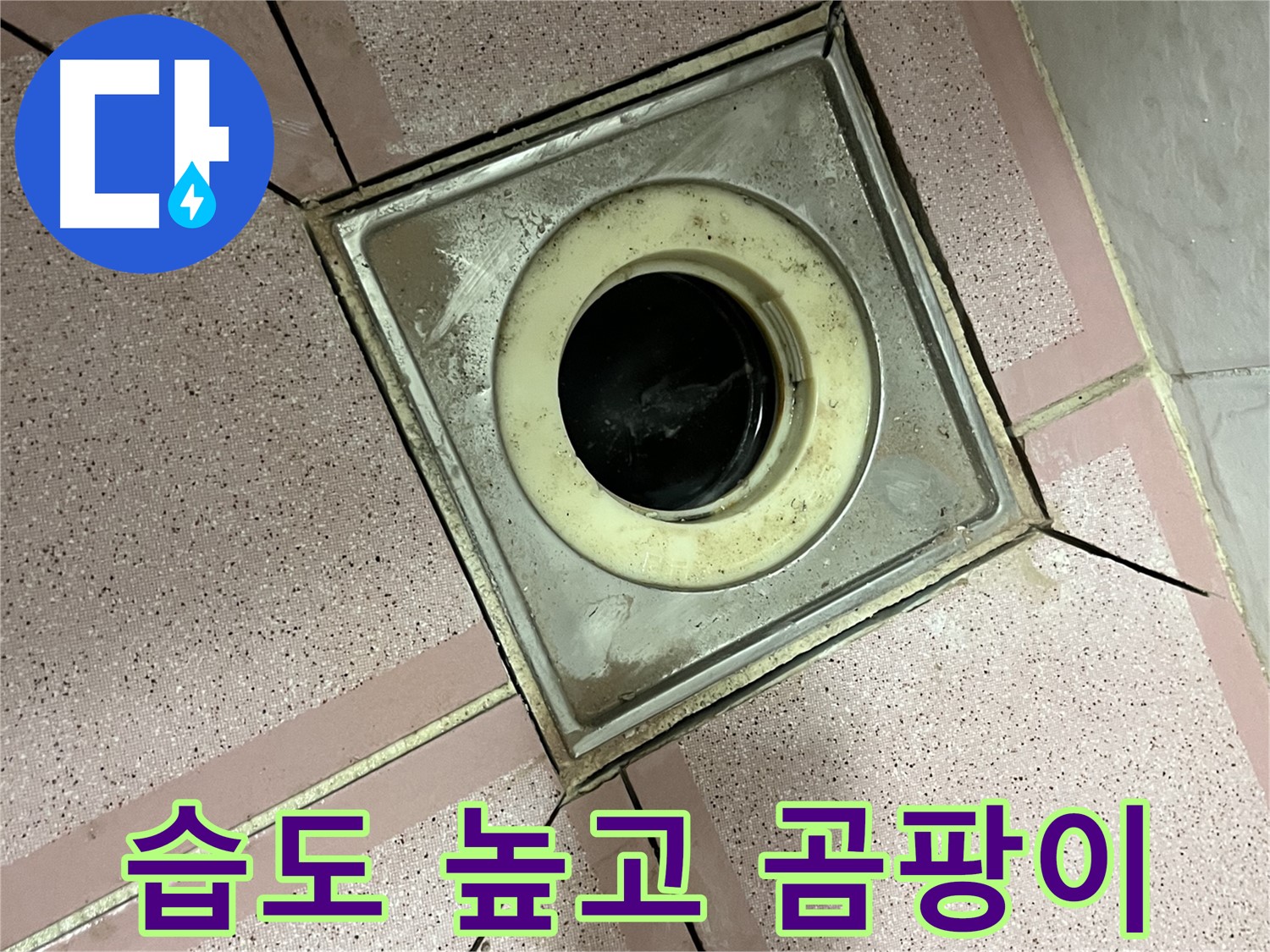 금천구 형제빌 화장실 유가 주변 습도 높고 곰팡이 냄새 - 원인 조사