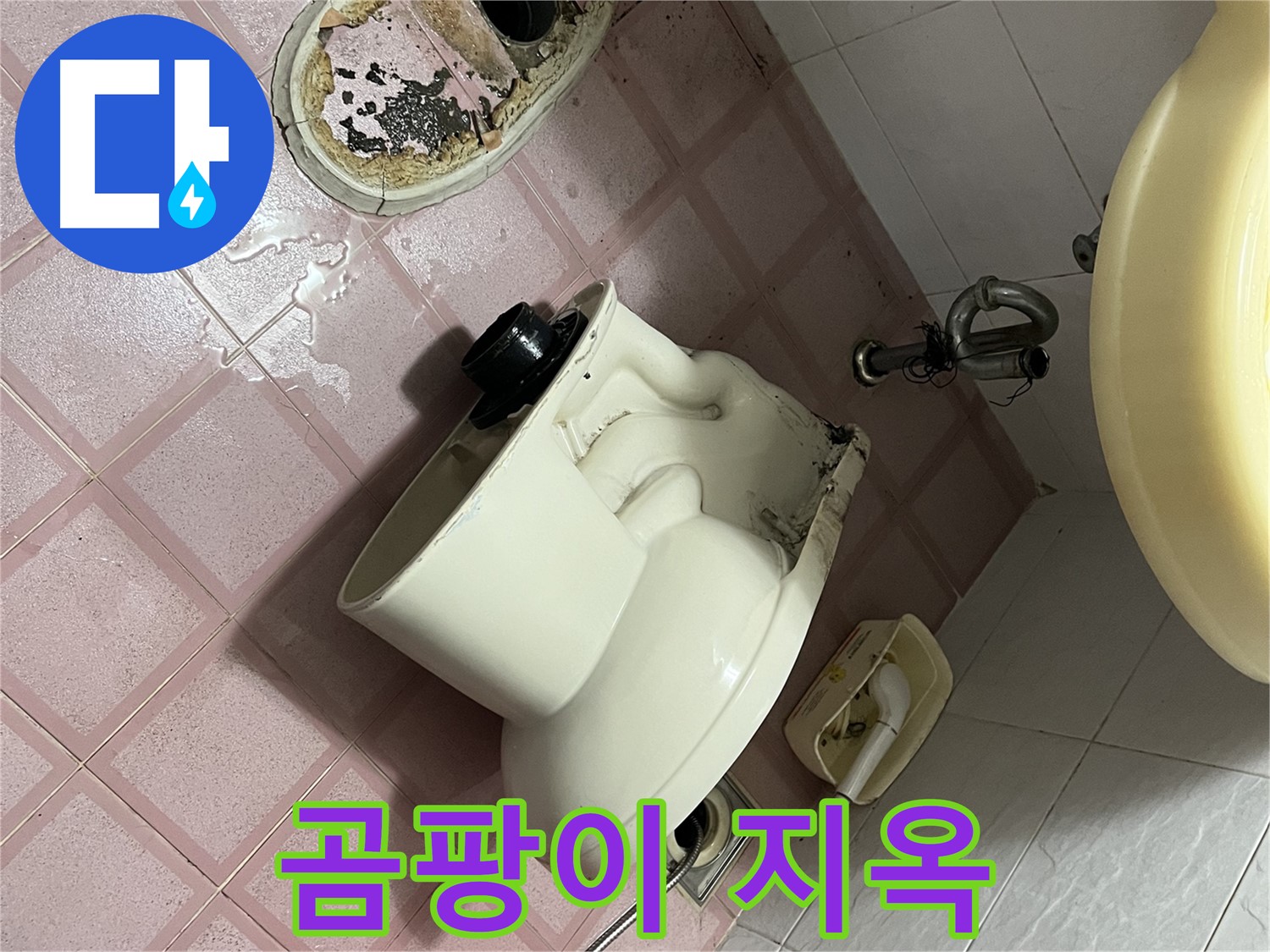 변기 철거 후 드러난 곰팡이 지옥 - 금천구 독산동 형제빌